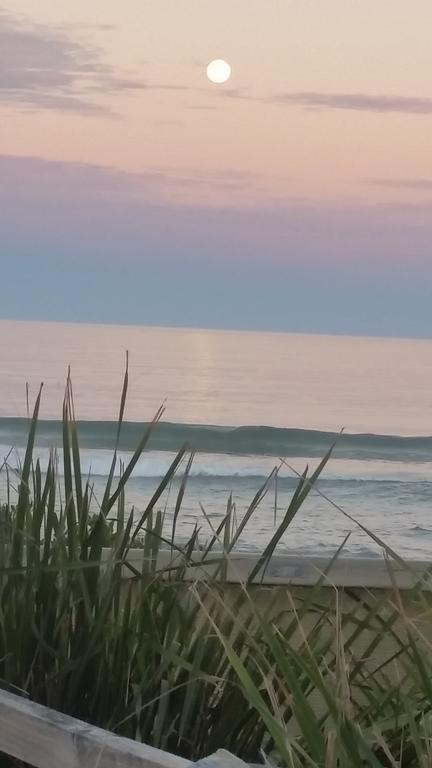 Saltwater Apartments Lake Cathie Bagian luar foto